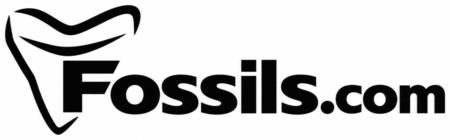 Fossils.com