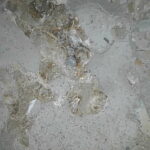 Equipment image 16