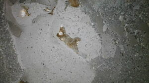 U2-057 · Combustion-chamber / piston-crown view