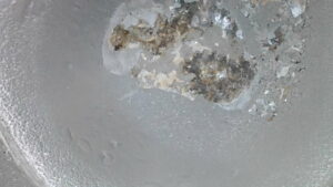 U2-043 · Combustion-chamber / piston-crown view