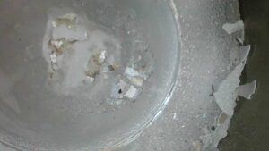 U2-067 · Combustion-chamber / piston-crown view