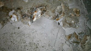 U2-035 · Combustion-chamber / piston-crown view