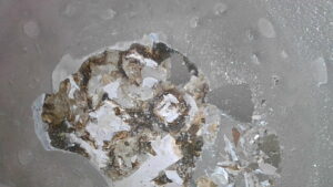 U2-082 · Combustion-chamber / piston-crown view