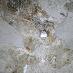 Equipment image 17