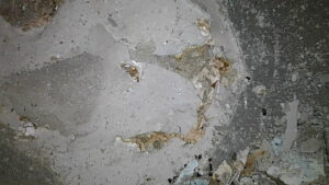 U2-031 · Combustion-chamber / piston-crown view