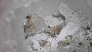 U2-019 · Combustion-chamber / piston-crown view